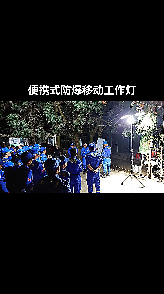 移动照明灯 BHQ6205 两个灯 - 消防照明排烟设备